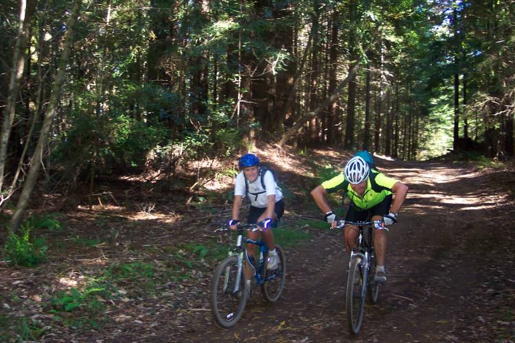 Copy of BolinasRidge_0045.jpg